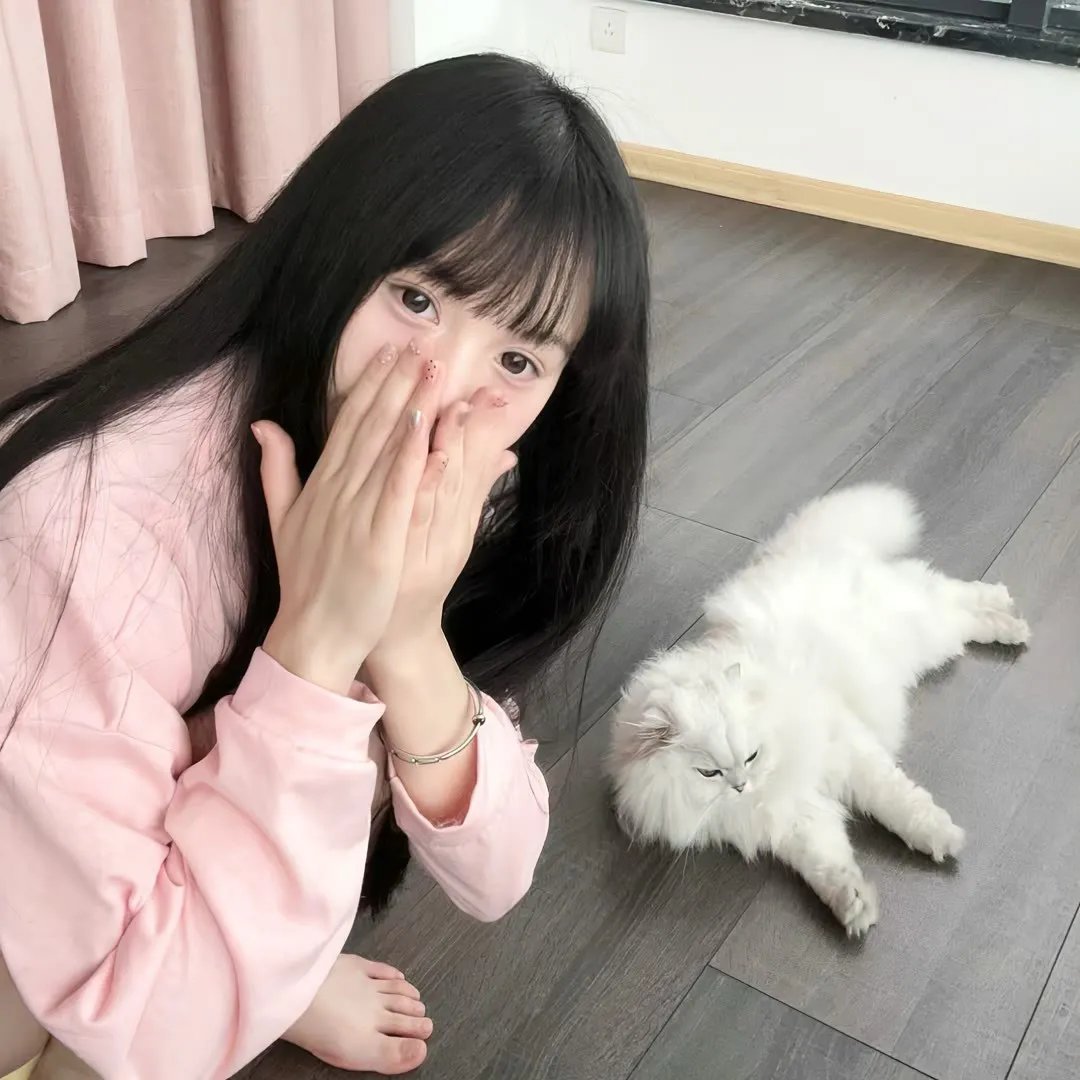 七小汪警犬队2023